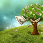 money-tree-energy